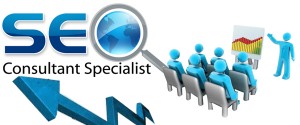 seoconsultingexpert.com